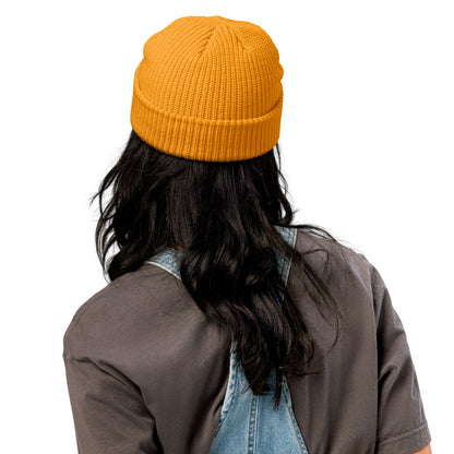 Fall Vibes Knit beanie